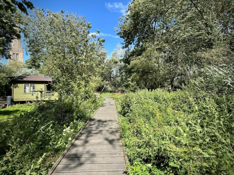 4F119972 FA12 48EB B28D 6F559F7CBF20 IMG 6208 768x576