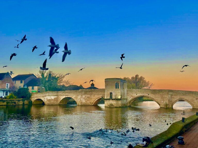 Civic pic 1 1 768x576