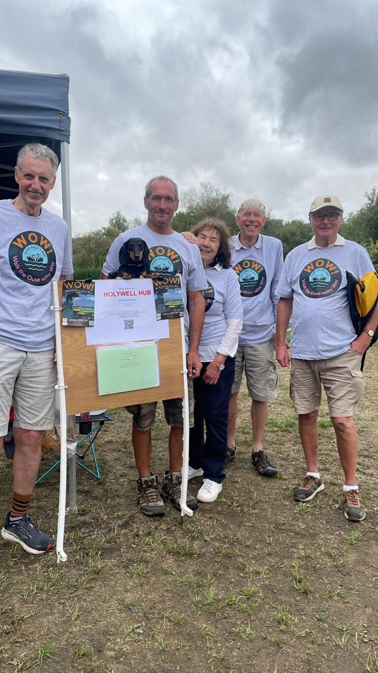 WOW FERRY TEAM 768x1365