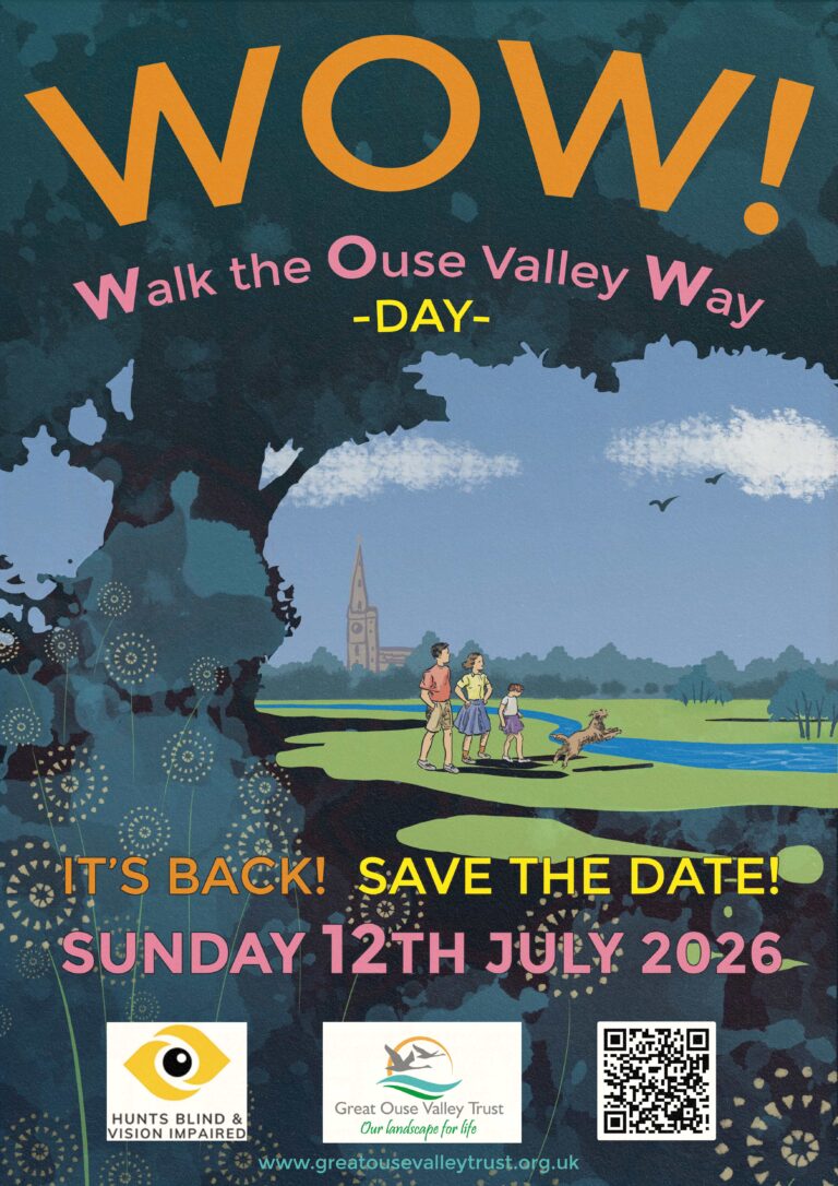 WOW NEW 2026 promo V1 768x1086