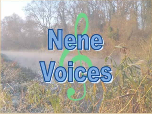 NeneLogo