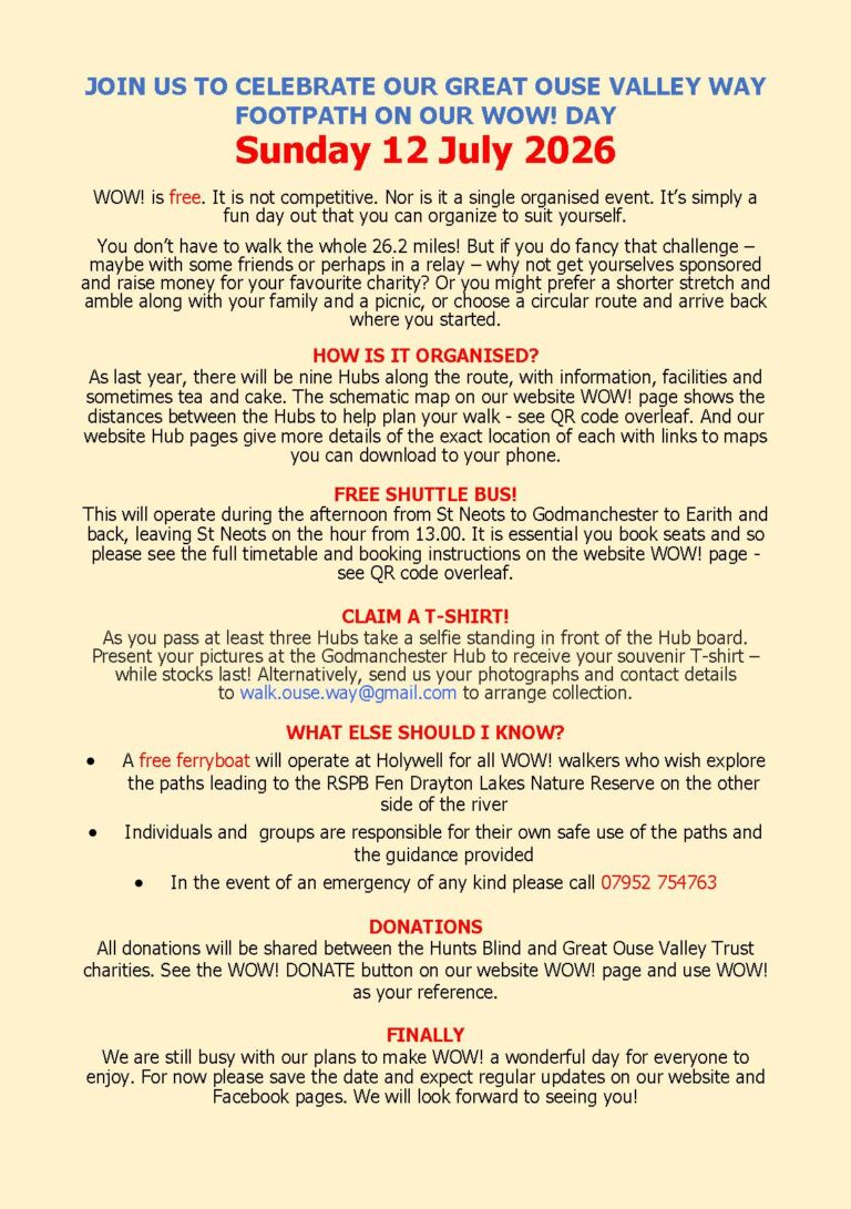 WOW FLIER FRONT AND BACK Page 2 768x1091